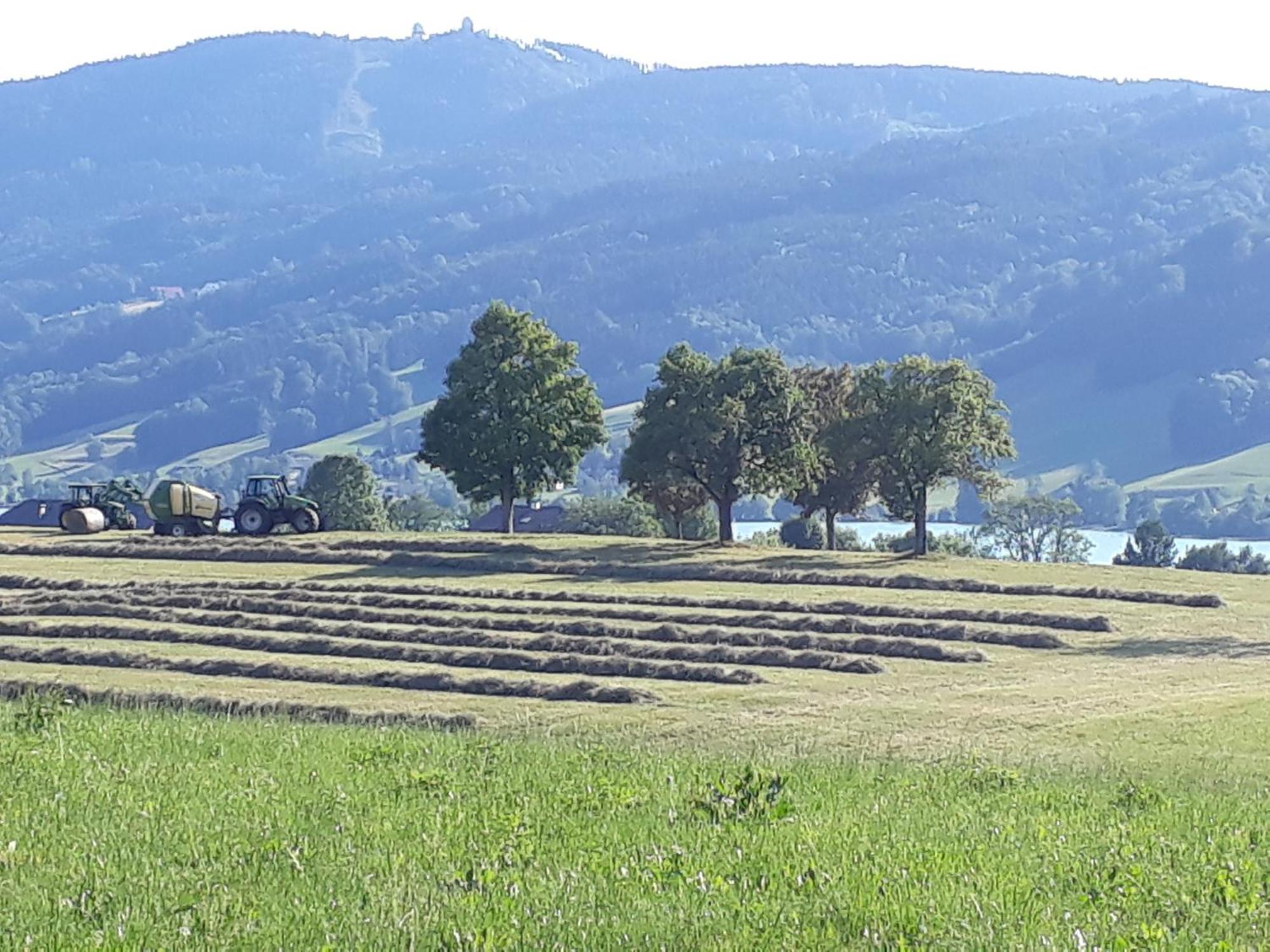 Apartament Hideaway Zell am Moos Zewnętrze zdjęcie