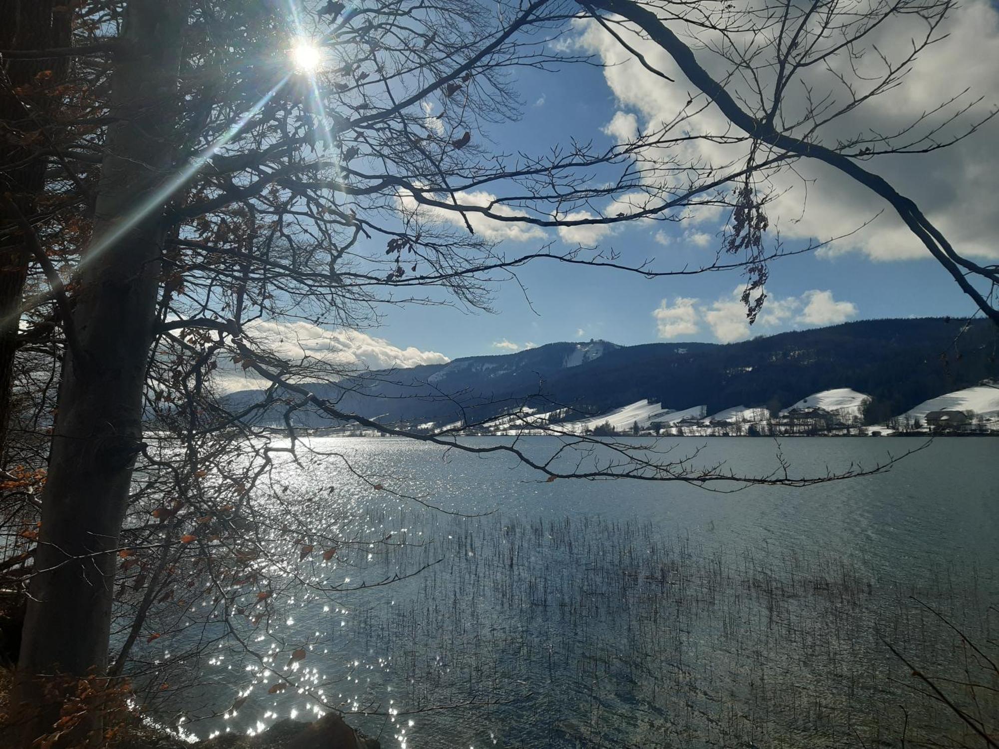 Apartament Hideaway Zell am Moos Zewnętrze zdjęcie